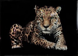 Картина Ягуар с кристаллами Swarovski (2321) Картина Ягуар с кристаллами Swarovski (2321)
