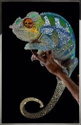 Картина Хамелеон с кристаллами Swarovski (2367) Картина Хамелеон с кристаллами Swarovski (2367)