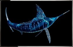 Картина Рыба-меч с кристаллами Swarovski (2369) Картина Рыба-меч с кристаллами Swarovski (2369)